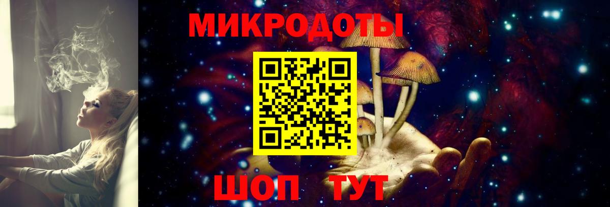 Псилоцибиновые грибы MAGIC MUSHROOMS Карталы